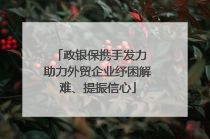 政银保携手发力 助力外贸企业纾困解难、提振信心